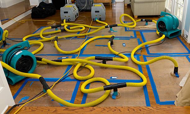 Professional Flood Damage Restoration technician working in Troy, AL